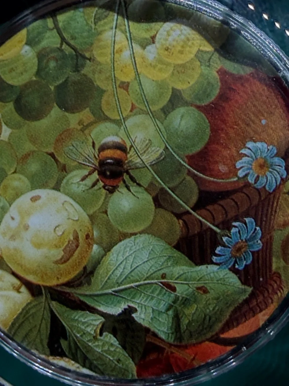 Paulus Theodorus Fruit & Flowers Honey Bee Glass National Gallery Paperweight